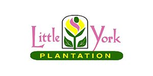 little york logo near homer ny thumbnail image from syracuse exectuives association